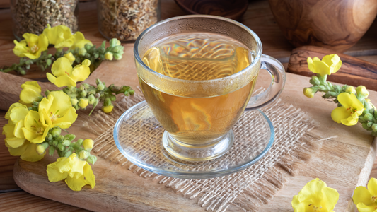 The Benefits of Mullein Tea: A Recipe